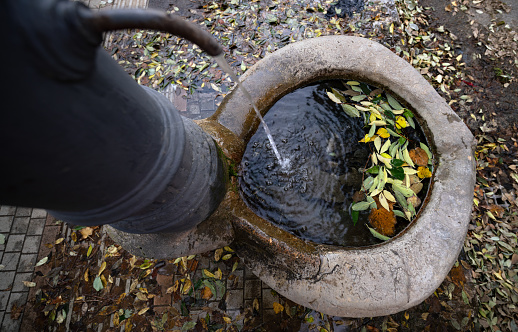 plastic bowl abandoned in a vase with stagnant water inside. close up view. mosquitoes in potential breeding ground.\