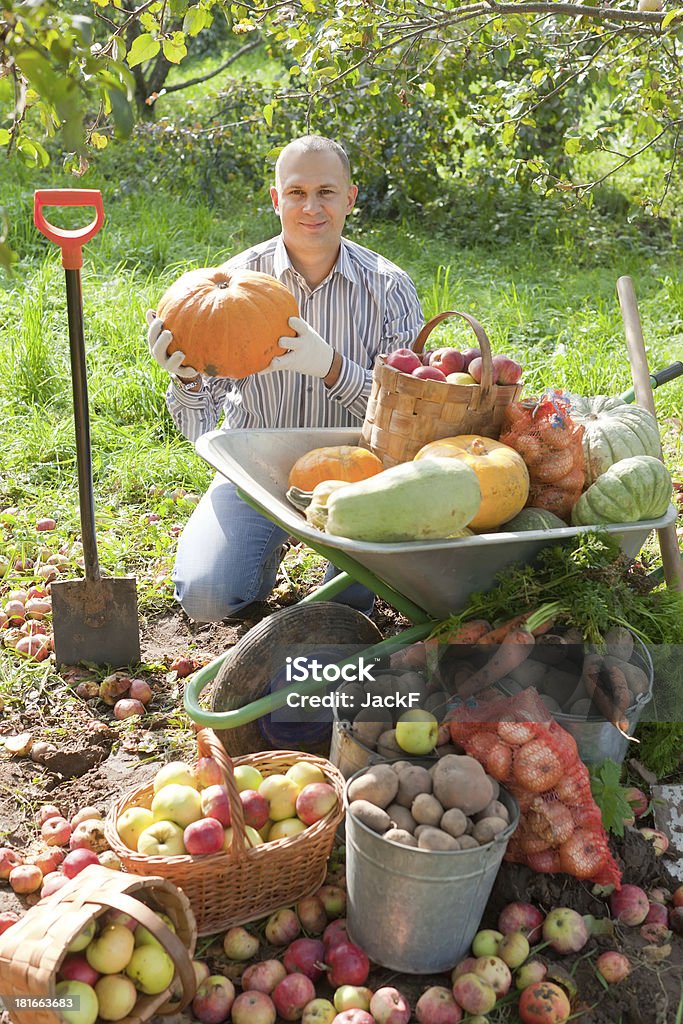 Homme avec des légumes harvest - Photo de Activité libre de droits
