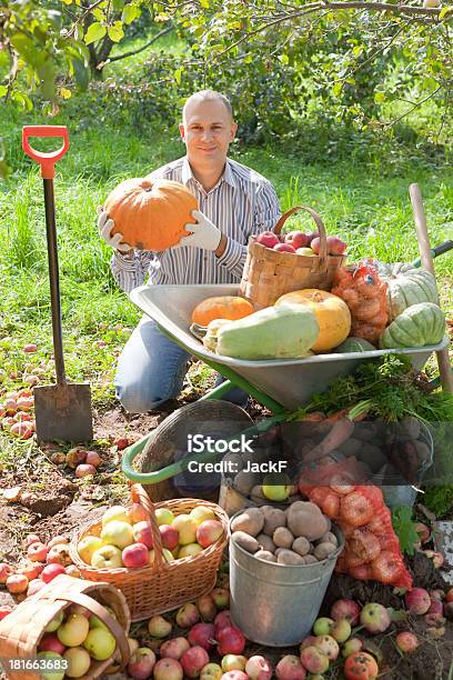 Photo libre de droit de Homme Avec Des Légumes Harvest banque d'images et plus d'images libres de droit de Activité - Activité, Adulte, Adulte d'âge moyen