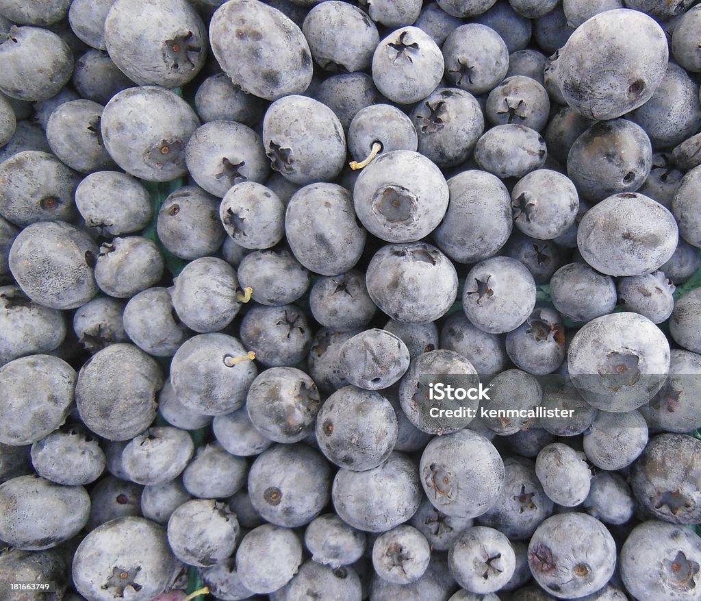 Bleuets frais de la ferme - Photo de Fruit libre de droits