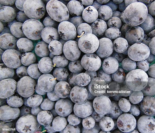 Photo libre de droit de Bleuets Frais De La Ferme banque d'images et plus d'images libres de droit de Fruit - Fruit, Horizontal, Marché - Établissement commercial