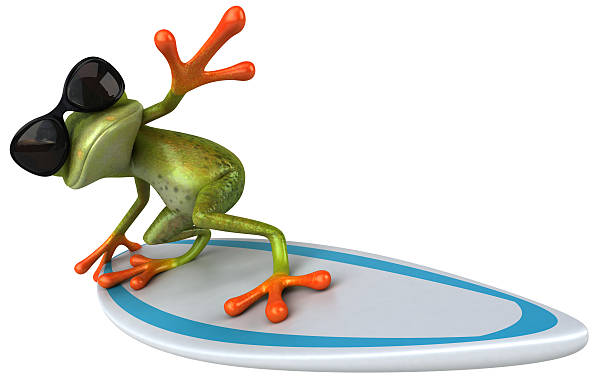 grenouille de loisirs - frog three dimensional shape animal green photos et images de collection