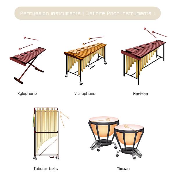 illustrations, cliparts, dessins animés et icônes de ensemble d'instruments de percussion de musique isolé sur fond blanc - vibraphone