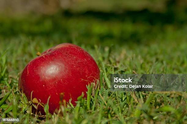 Frutta Di Autunno - Fotografie stock e altre immagini di Autunno - Autunno, Cibo, Colore verde