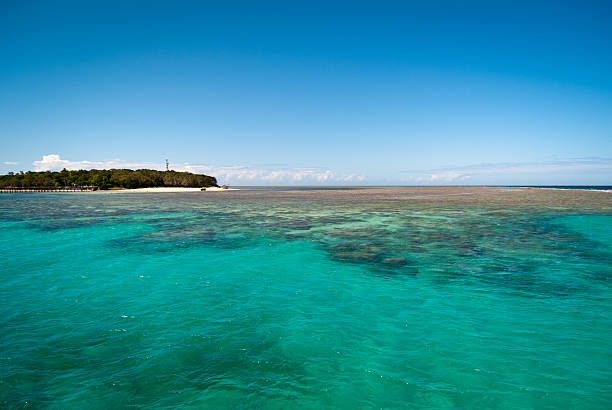 istock Green Island and coral reef, Australia 181668861