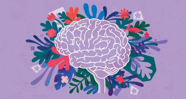 Vector illustration of Human Brain