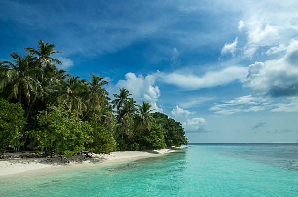 istock Perfect tropical island paradise beach 181670162