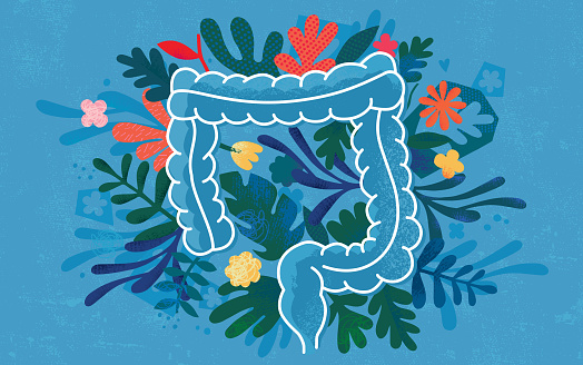 Vector illustration created from paper cuts, hand drawn elements and handmade textures representing healthy human colon concept.