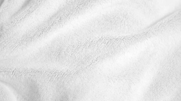 istock White clean wool texture background. light natural sheep wool. white seamless cotton. texture of fluffy fur for designers. close-up fragment white wool carpet... 1816704383