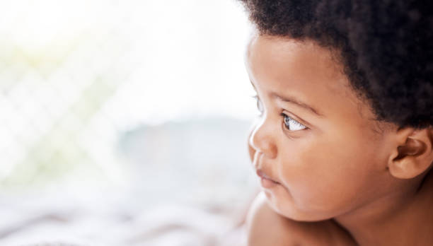 istock Face, toddler and looking with curiosity in home for child, cognitive and development for milestone. African, little boy and afro with growth in health, wellness and hope for future in living room 1816705537