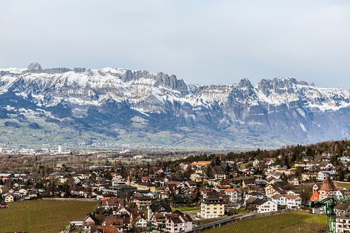 While Vaduz Castle in Liechtenstein offers a magnificent view of the surrounding landscape, including the Rhine Valley and the Alps, specific details about the scenery can be contingent on the time of year and weather conditions. From Vaduz Castle, visitors can enjoy a panoramic vista that encompasses the charming capital city of Vaduz, the Rhine River winding through the valley, and the picturesque mountainous terrain.\n\nDuring clear days, the Alps create a stunning backdrop, and the vineyards surrounding the castle add to the scenic beauty. The juxtaposition of the medieval castle against the modernity of Vaduz below creates a unique blend of historical and contemporary elements. The view from Vaduz Castle is not only a visual treat but also an opportunity to appreciate Liechtenstein's compact yet diverse landscape.