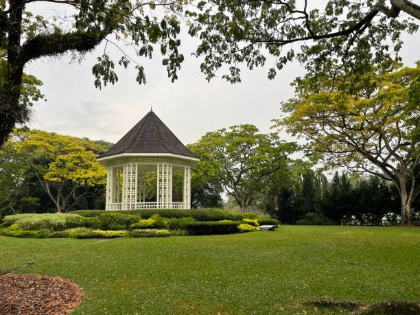 istock Singapore Travel pics 1816714026