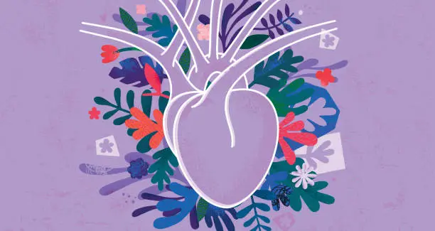 Corazón humano Corazón humano