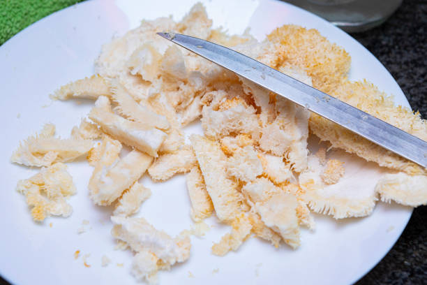 istock Hericium erinaceus (also called lion's mane mushroom) - Frying it with egg and flour 1816718419