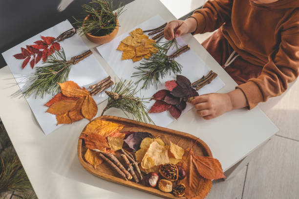 istock Children's creativity, child's study of natural materials 1816720601