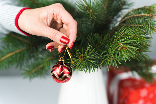 A woman's hand hangs a Christmas ball on a fir-tree branch at home. Christmas decor, Christmas tree decoration. Selective focus. Close-up.
