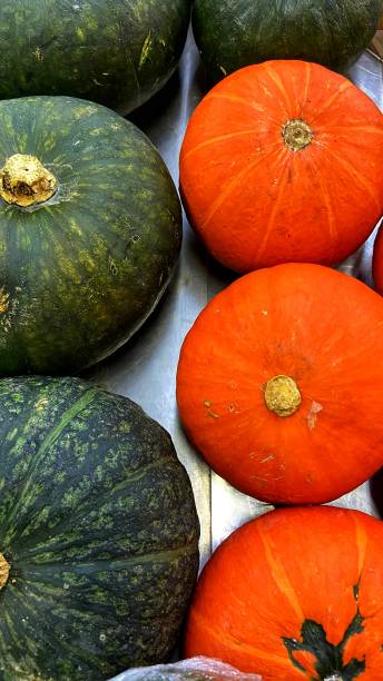 istock Close view of pumpkin 1816726530