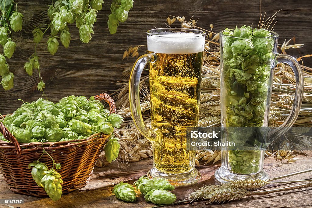 Orecchie di grano in oro, circondata da birra fresca Hop - Foto stock royalty-free di Alchol