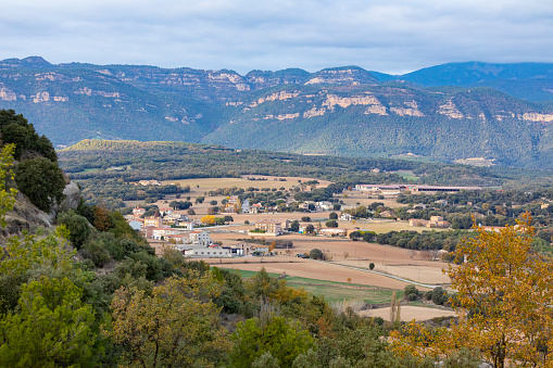 Sault village, health resort in Vaucluse departement, Provence in France. Summer landscape with lavender field..