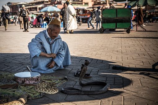 Snake charming is a traditional street performance that has long been associated with the main square and marketplace, Jemaa el-Fnaa, in Marrakesh, Morocco. Skilled performers, often known as snake charmers or 