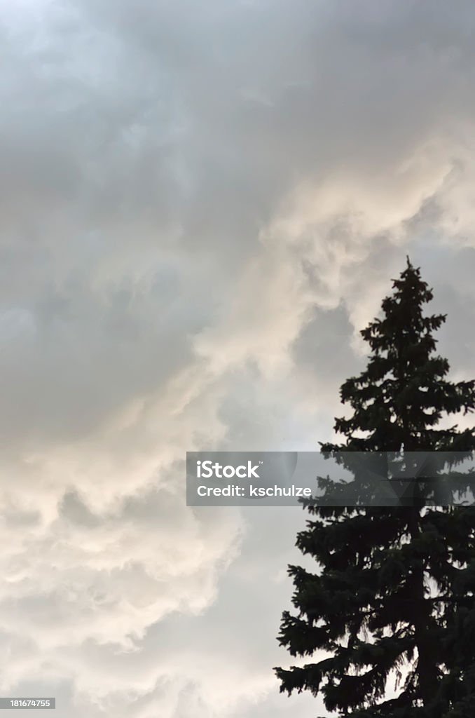 Nuvens de tempestade acima de silhueta de altura Espruce - Foto de stock de Agosto royalty-free