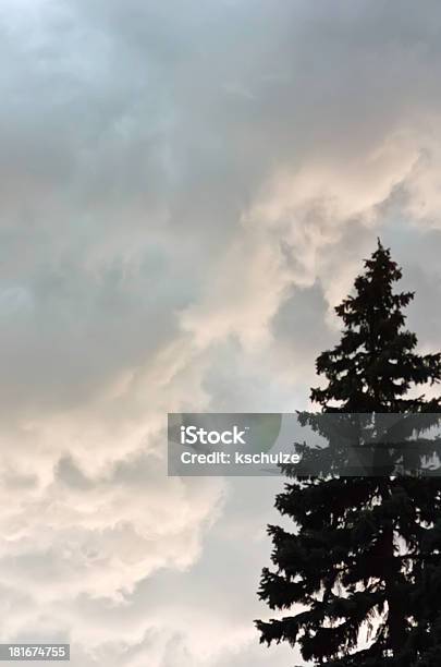 Foto de Nuvens De Tempestade Acima De Silhueta De Altura Espruce e mais fotos de stock de Agosto