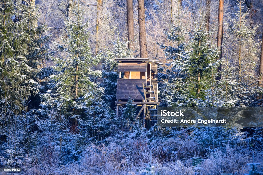 Hunting pulpit or high seat in winter forest landscape in sunshine Hunting pulpit or high seat in winter forest landscape in sunshine surrounded by trees covered in frost Agricultural Field Stock Photo