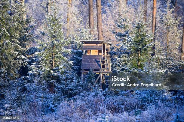Hunting Pulpit Or High Seat In Winter Forest Landscape In Sunshine Stock Photo - Download Image Now