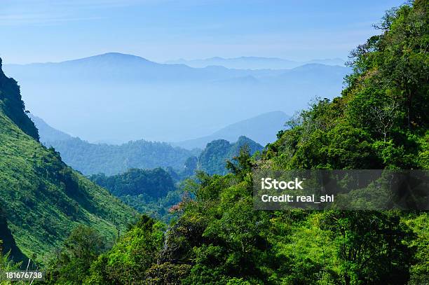 Árvores De Natureza Paisagem Montanha - Fotografias de stock e mais imagens de Ao Ar Livre - Ao Ar Livre, Azul, Beleza