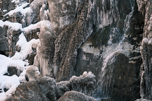 Frozen waterfall in winter mountain gorge