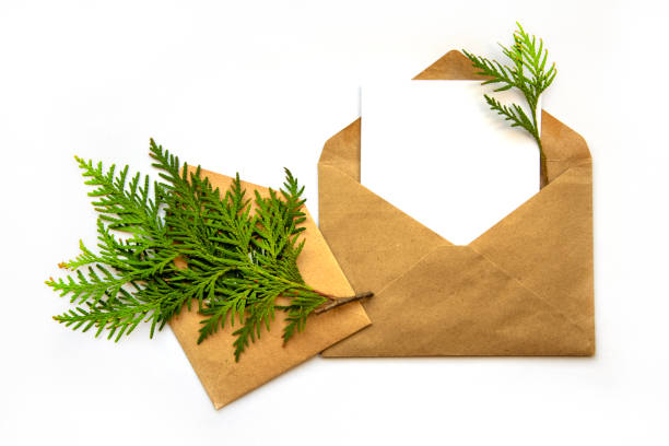 istock Minimalistic greeting card layout with evergreen coniferous branch. Craft envelope, flat lay, close-up. 1816779098