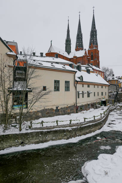 вид на заснеженные дома на фоне неба - uppsala cathedral стоковые фото и изображения