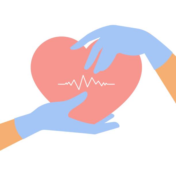 ilustraciones, imágenes clip art, dibujos animados e iconos de stock de manos femeninas con guantes médicos sostienen el corazón. - consoling human hand human heart care