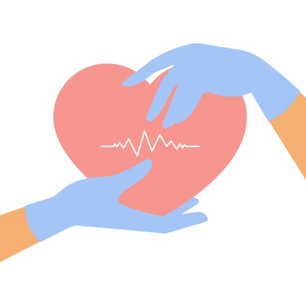 ilustrações, clipart, desenhos animados e ícones de mãos femininas em luvas médicas seguram o coração. - consoling human hand human heart care