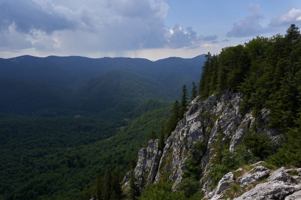 istock Pine forests on a cliff in the mountains 1816786800