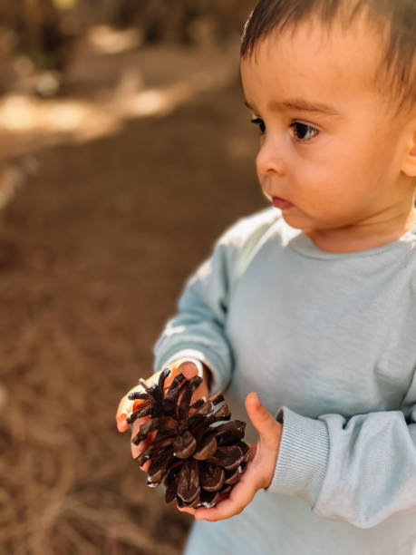 istock Baby holding a gymnosperm 1816790026