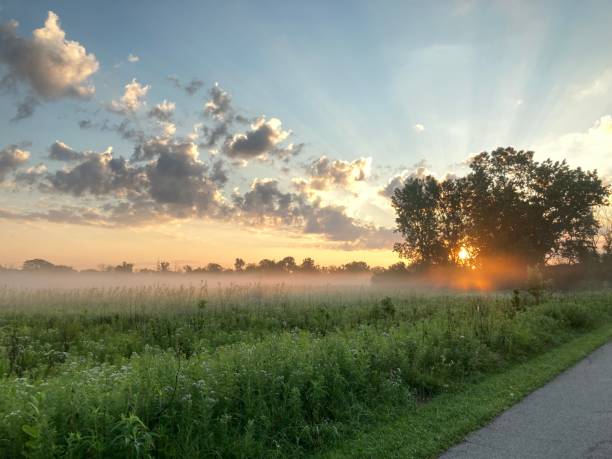 istock Sunrise fog and sunbeam 1816791818