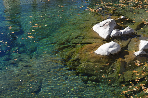 A teen fly-fisherman casting on a trout stream.  Shot from a high angle with lots of copy space.