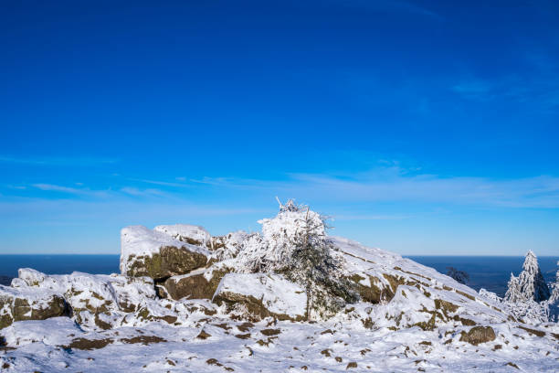 Winter impressions of snow-covered Feldberg in Taunus/Germany