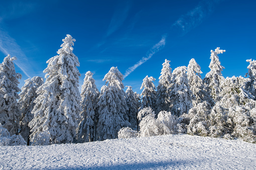 Winter impressions of snow-covered Feldberg in Taunus/Germany