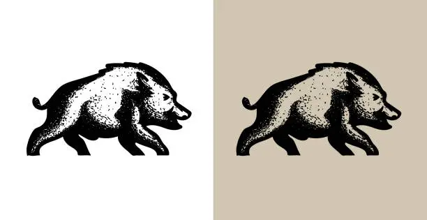 Vector illustration of Hand-Drawn Wild Boar Vector Illustration