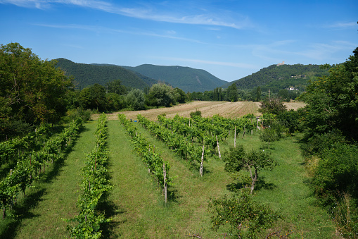 Rural landscape in Lazio near Labro, Rieti province, Italy, at summer