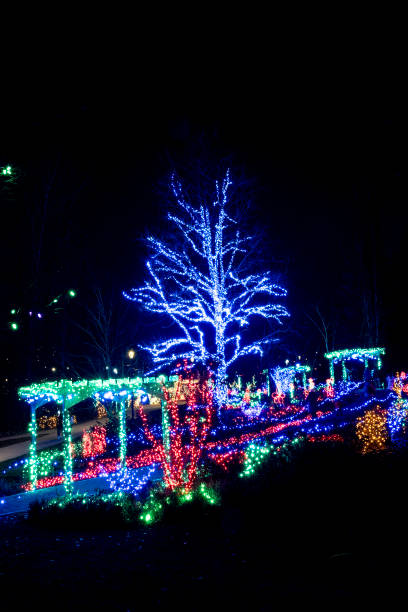 istock Light Show in Coquitlam center park 1816834170