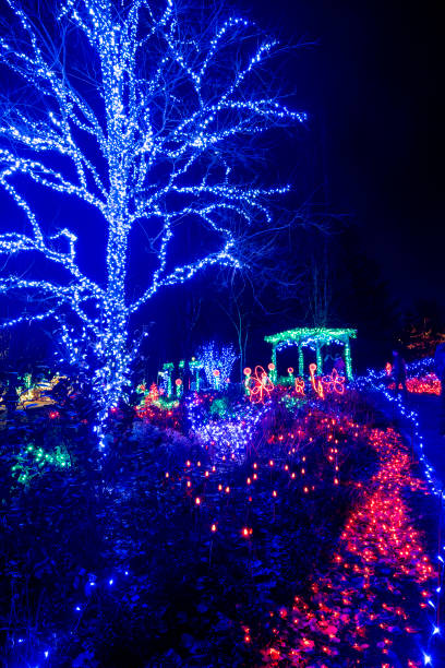 istock Light Show in Coquitlam center park 1816834226