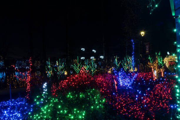 istock Light Show in Coquitlam center park 1816834676
