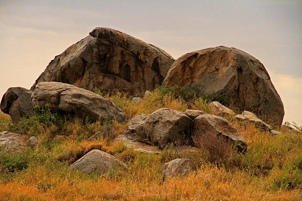 African Rock Kopje