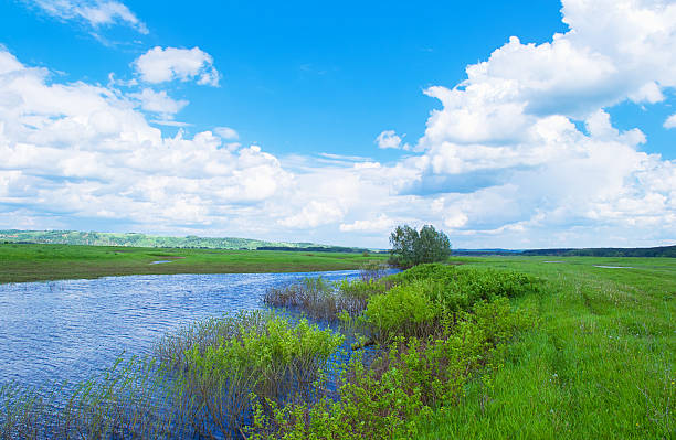 istock Summer landscape with a pond 181683551