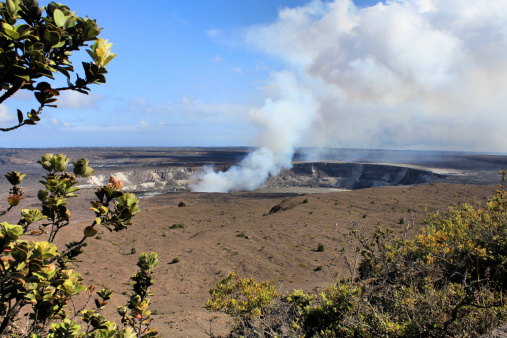 Hawaii volcanoes National Park - crater on the caldera HalemaÊ»umaÊ»u. Kilauea volcano and endemic Lehua tree
