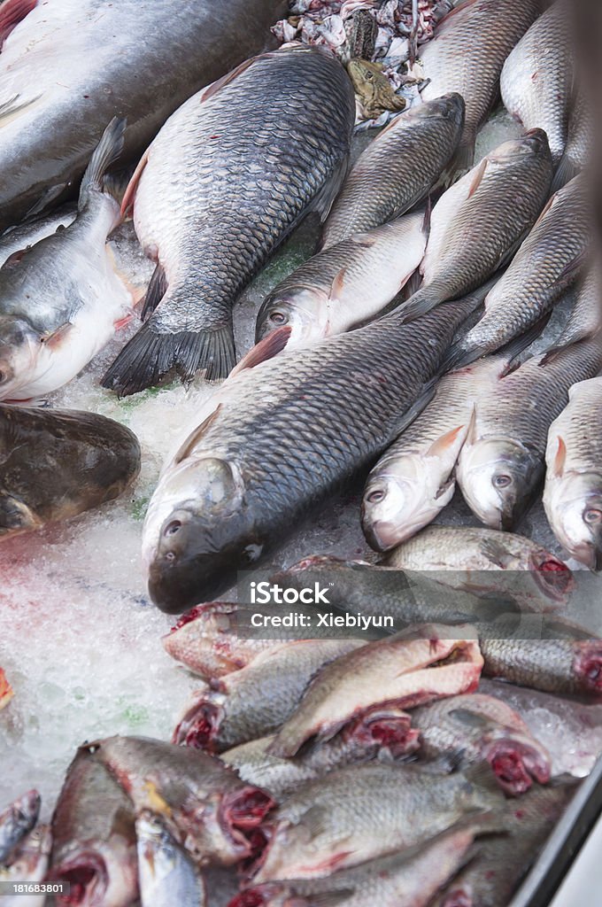 Pesce crudo in un mercato di prodotti agricoli. - Foto stock royalty-free di Affari