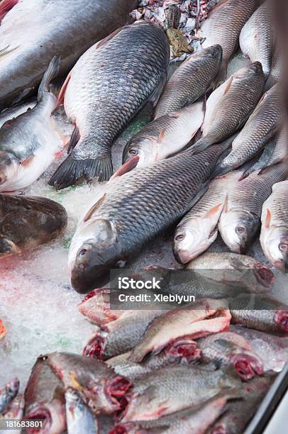 Peixe Cru No Mercado De Produtos Agrícolas - Fotografias de stock e mais imagens de Captura de Peixe - Captura de Peixe, Carne, Comida